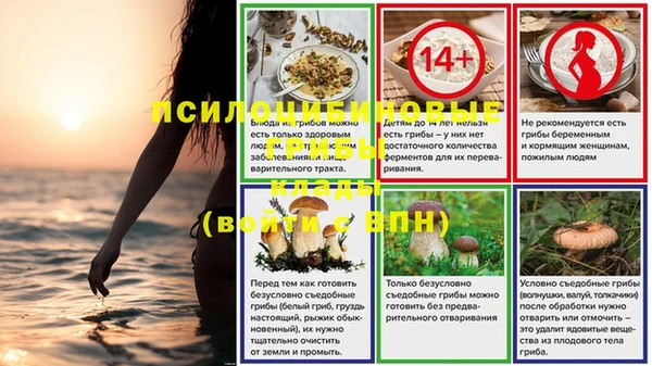 spice Козельск