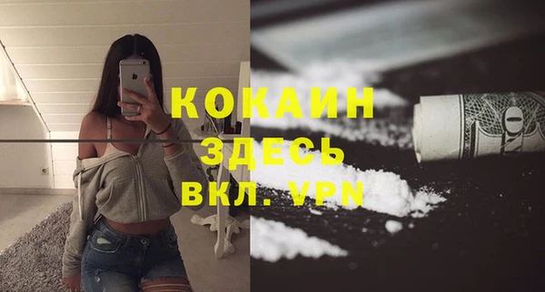 spice Козельск