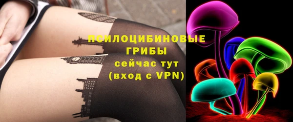 дмт Кодинск