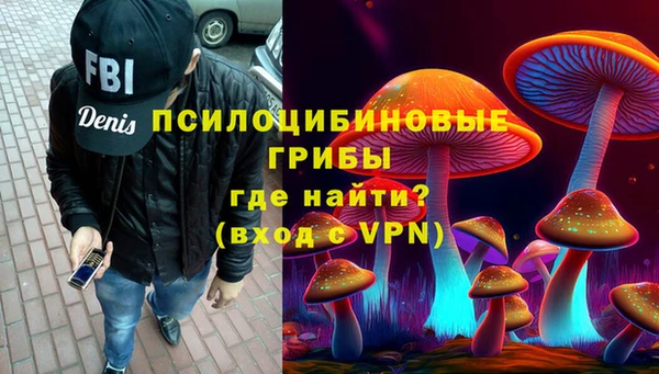 spice Козельск