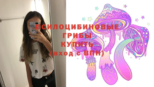 spice Козельск