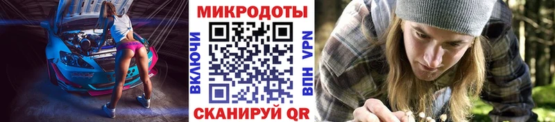 Галлюциногенные грибы Psilocybine cubensis  Купить закладки  Мещовск 